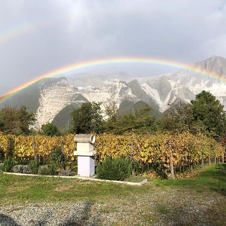 Bed and Breakfast Galleria Ars Apua Carrara Zewnętrze zdjęcie