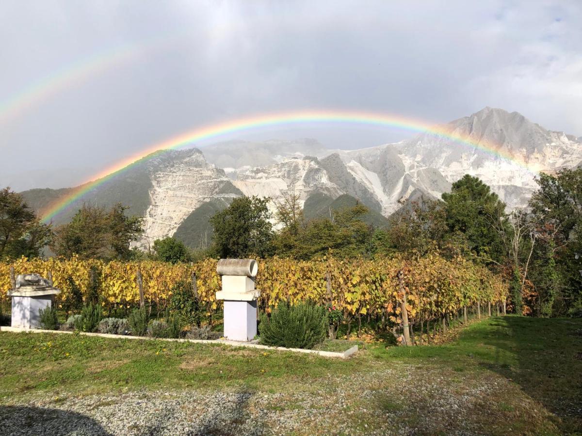 Bed and Breakfast Galleria Ars Apua Carrara Zewnętrze zdjęcie