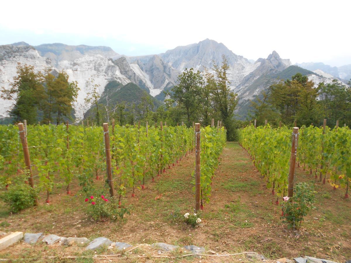 Bed and Breakfast Galleria Ars Apua Carrara Zewnętrze zdjęcie